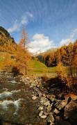 Alpinhotel Jesacherhof Bild mit herstlichen Bäumen beim Wandern in der Umgebung des Alpinhotels Jesacherhof